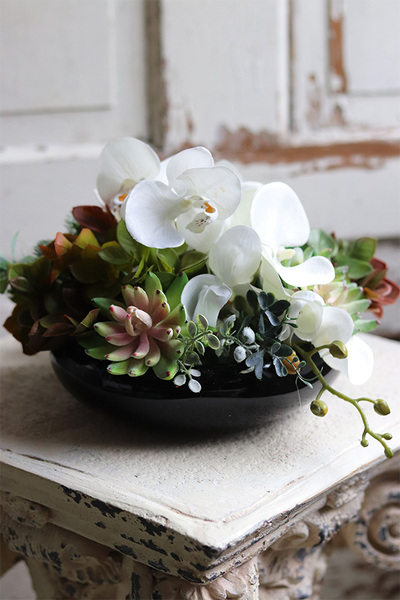 dekoracja Dekoria Sukulenty & Orchidea w czarnej misie, wys.20cm