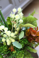 egzotyczna kompozycja ze strelicją, Modenata Nerano, wys.68cm