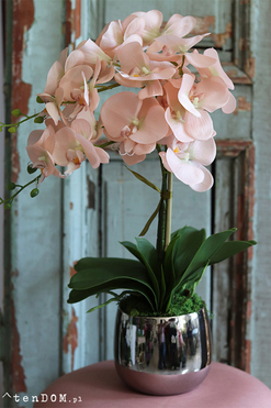 efektowny sztuczny storczyk, Ottawiano, wys.60cm