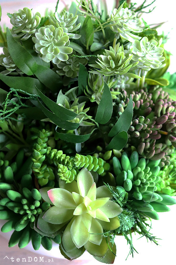 Gerrano 2, kompozycja sukulenty w białej misie, wym.27x30cm