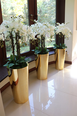 Golderia, elegancki storczyk podłogowy w złotej donicy, wys.130cm 