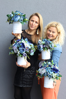 Blue Marine, kompozycja kwiatowa / bukiet flowerbox, S, wys.28cm