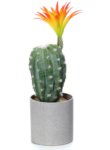 Javier, kaktus, wysokiej jakości sztuczna roślina, wys.30cm
