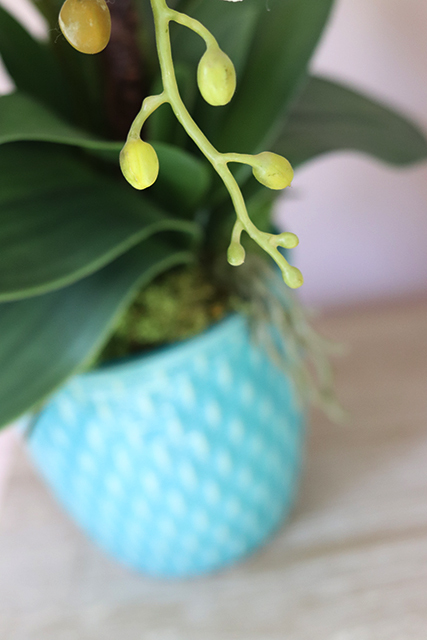 Turkusowa Melodia, wyjątkowy storczyk w oryginalnej donicy, wys.60cm