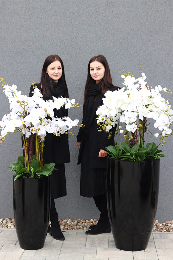 duży storczyk Design Black Grande New w donicy fiberglass, wys.155cm