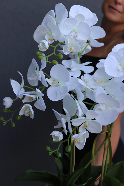 Glamour Rania Long, biały storczyk w donicy z kryształami, wys.76cm