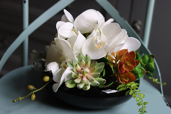 dekoracja Dekoria Sukulenty & Orchidea w czarnej misie, wys.20cm