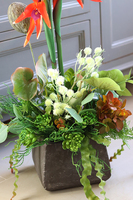 egzotyczna kompozycja ze strelicją, Modenata Nerano, wys.68cm