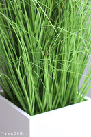 Dandelion, trawa w białej donicy Fiberglass z dmuchawcami, wys.140cm