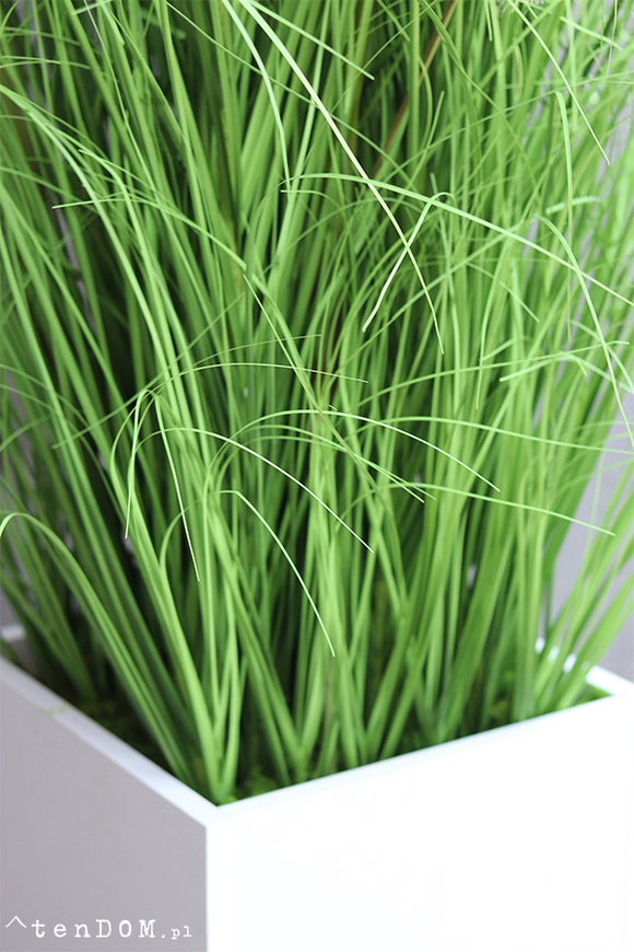 Dandelion, trawa w białej donicy Fiberglass z dmuchawcami, wys.140cm