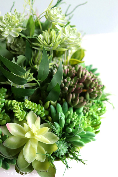 Gerrano 2, kompozycja sukulenty w białej misie, wym.27x30cm