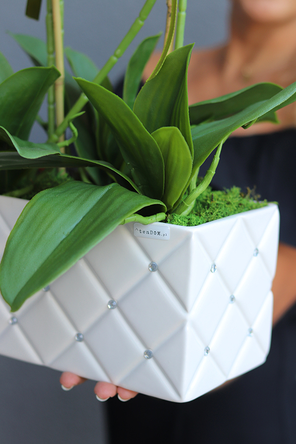 Glamour Rania Long, biały storczyk w donicy z kryształami, wys.76cm