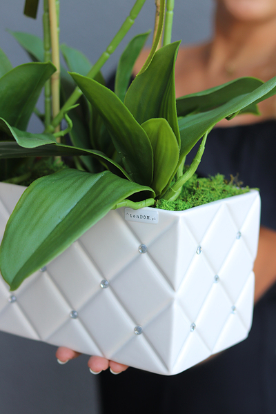 Glamour Rania Long, biały storczyk w donicy z kryształami, wys.76cm