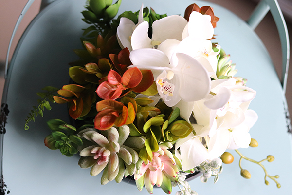 dekoracja Dekoria Sukulenty & Orchidea w czarnej misie, wys.20cm