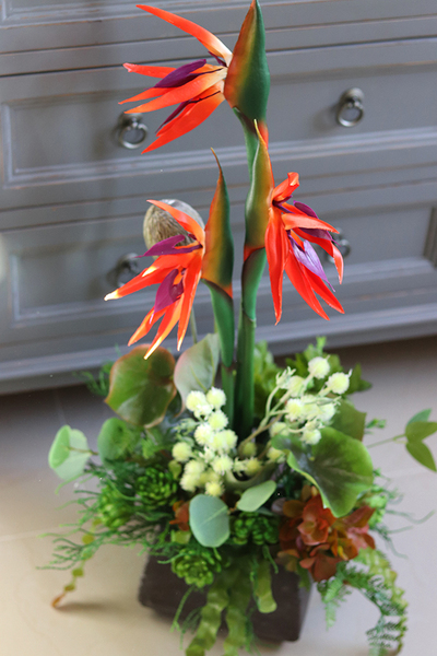 egzotyczna kompozycja ze strelicją, Modenata Nerano, wys.68cm