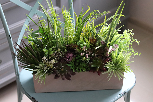 kompozycja Sukulenty Tavina w betonowej donicy, wys.30cm