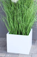 Dandelion, trawa w białej donicy Fiberglass z dmuchawcami, wys.140cm