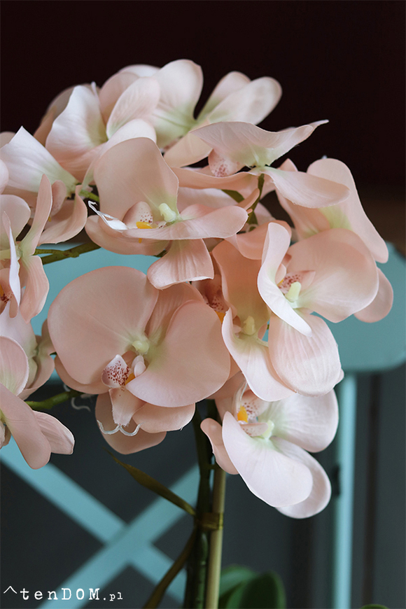 efektowny sztuczny storczyk, Ottawiano, wys.60cm