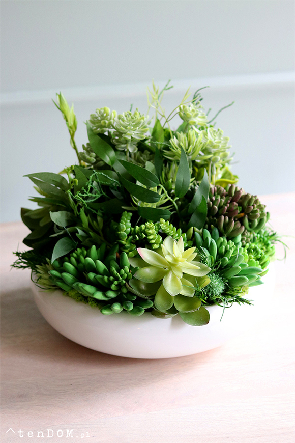 Gerrano 2, kompozycja sukulenty w białej misie, wym.27x30cm
