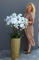 Golderia, elegancki storczyk podłogowy w złotej donicy, wys.130cm 