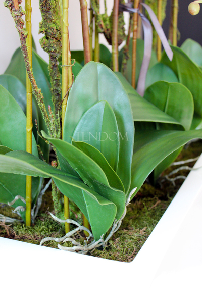 bardzo duży storczyk Hotel Design White Grande w donicy, wys.105cm 