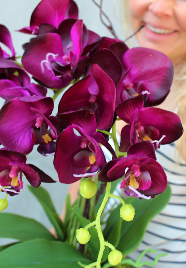 Cinderella Irys, gumowy storczyk w srebrnej donicy, wys.58cm