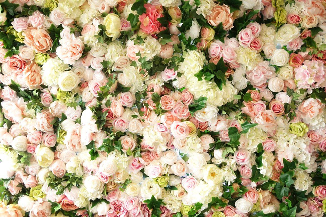 Wypożyczenie jednostronnej ściany kwiatowej, Maria Antonina, 1 m2