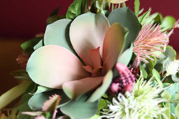 Albertina, kompozycja z sukulentami, wym.27x27cm