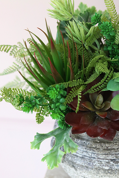 Hera, efektowna kompozycja Sukulenty w ceramicznym naczyniu, wys.30cm