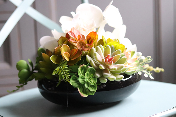 dekoracja Dekoria Sukulenty & Orchidea w czarnej misie, wys.20cm