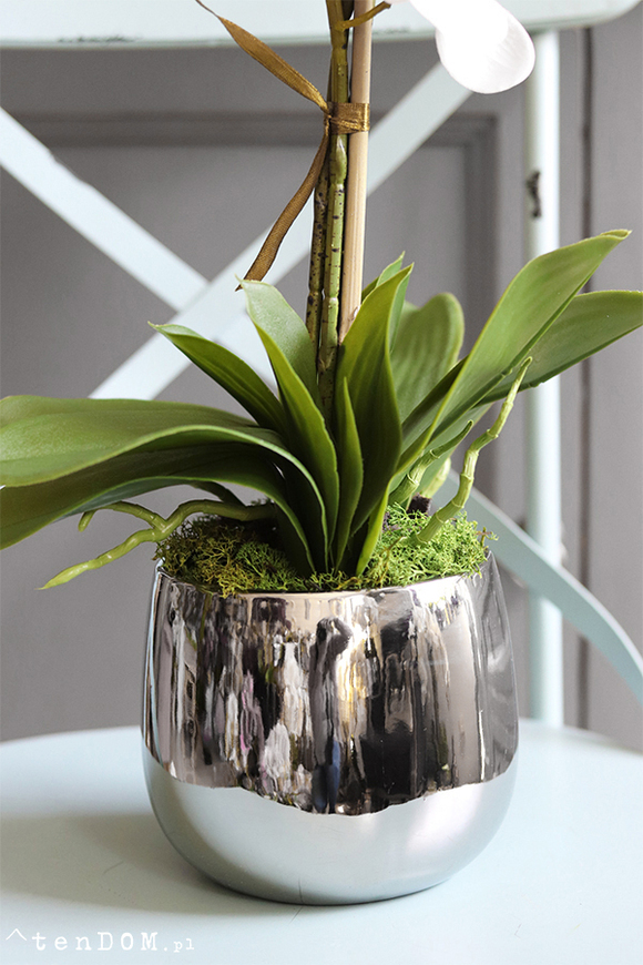 efektowny sztuczny storczyk, Ottawiano, wys.60cm