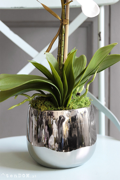 efektowny sztuczny storczyk, Ottawiano, wys.60cm