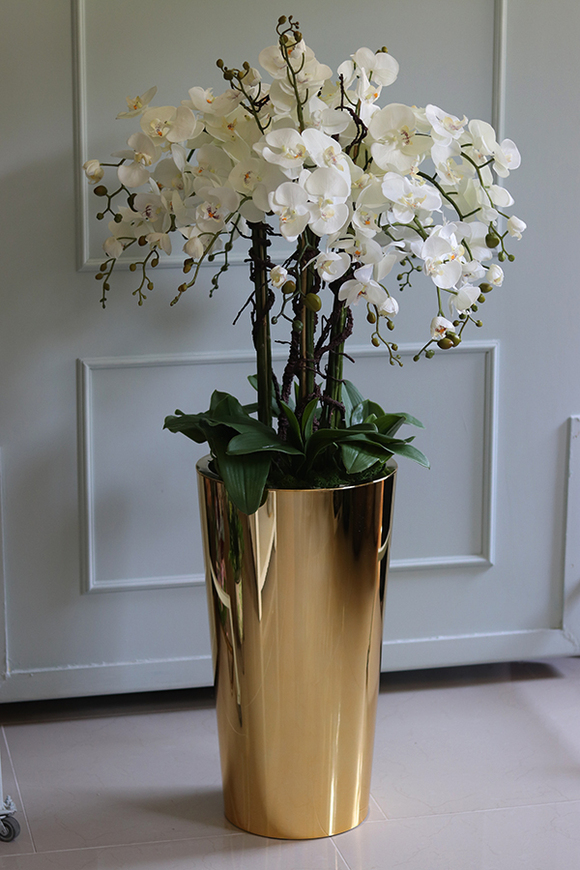 Golderia, elegancki storczyk podłogowy w złotej donicy, wys.130cm 