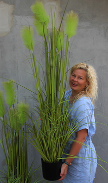 Silesia, elegancka sztuczna trawa w osłonce, wys.150cm