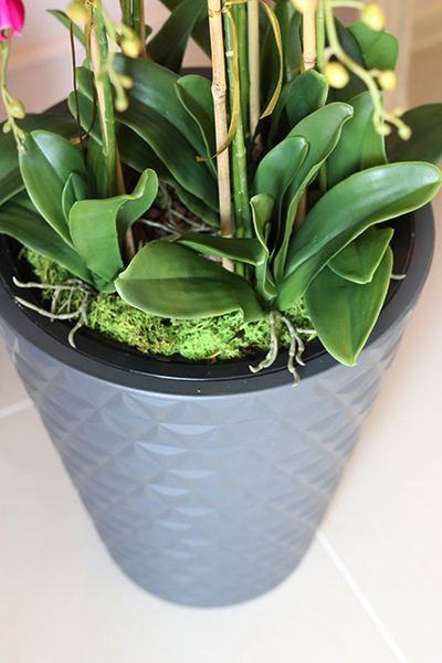 Fuksja Moreno Grande, duży sztuczny storczyk w antracytowej donicy, wys.105cm 