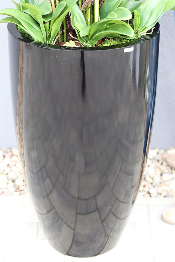 duży storczyk Design Black Grande New w donicy fiberglass, wys.155cm