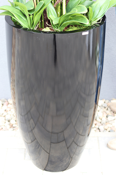 duży storczyk Design Black Grande New w donicy fiberglass, wys.155cm