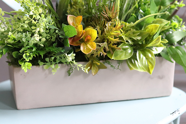 kompozycja Sukulenty Tavina w betonowej donicy, wys.30cm