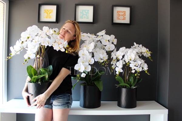 sztuczny storczyk Black Dreams, wys.87cm duży