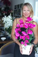 piękny storczyk Lamana w kolorze fuksji wys.59cm