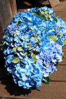 elegancka kompozycja kwiatowa / bukiet Hydrangea wys.40cm, dł.70cm