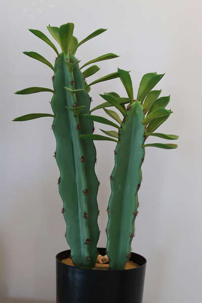 Monico, kaktus, wysokiej jakości sztuczna roślina, wys.44cm