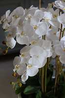 duży sztuczny storczyk w białej donicy, Milena Grande, wys.105cm