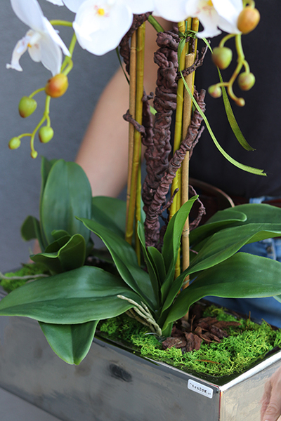 sztuczny storczyk Brigitta Leo, wys.60cm