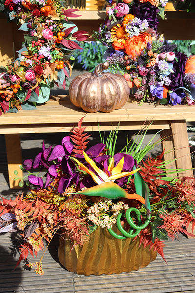 egzotyczna kompozycja ze strelicją, Derosa Mozambik, wym.46x77cm