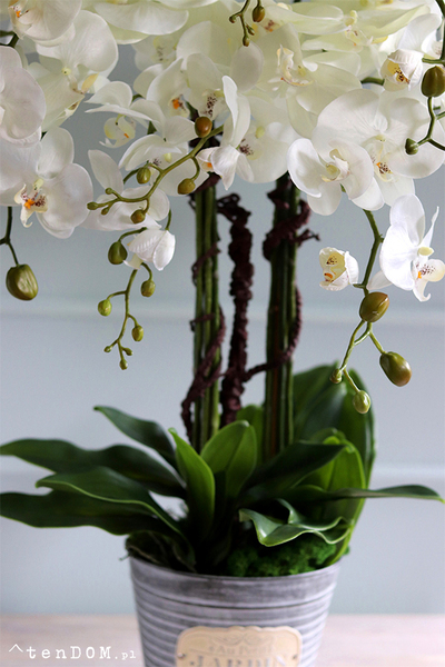 Jardin Petite, sztuczny storczyk w metalowej osłonce, wys.80cm 