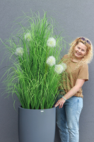 Dandelion Fiberglass Grey, trawa w szarej donicy z dmuchawcami, wys.190cm