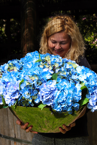 elegancka kompozycja kwiatowa / bukiet Hydrangea wys.40cm, dł.70cm