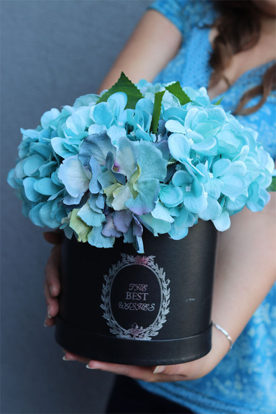 flowerbox hortensje, Blue Mojito, wym.31x33cm