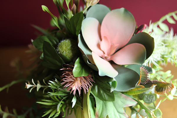 Albertina, kompozycja z sukulentami, wym.27x27cm